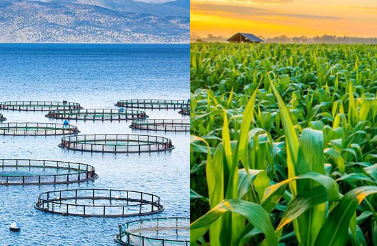 ORGAKINETIC´S HOLISTIC APPROACH TO SUSTAINABLE AGRICULTURE AND AQUACULTURE
