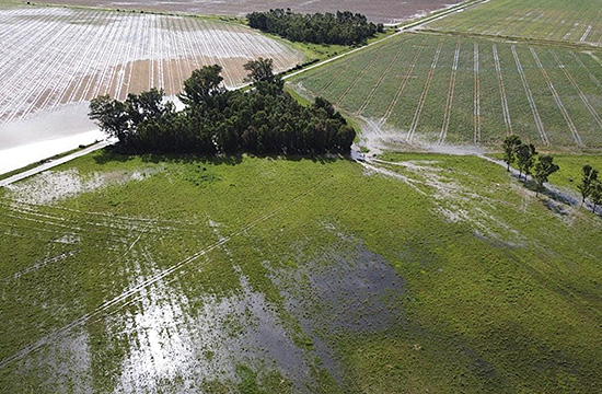 THE IMPACT OF ALTERED WEATHER PATTERNS ON AGRICULTURE